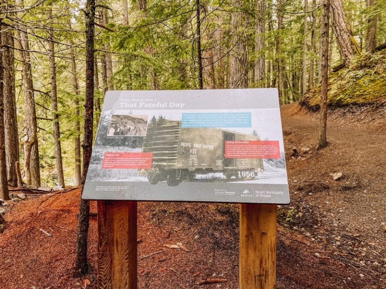 Whistler Train Wreck Hike Full Guide (with photos) Canada Crossroads