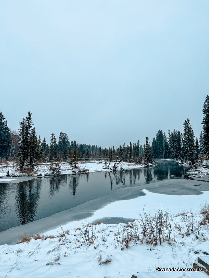 Policemen's Creek Boardwalk