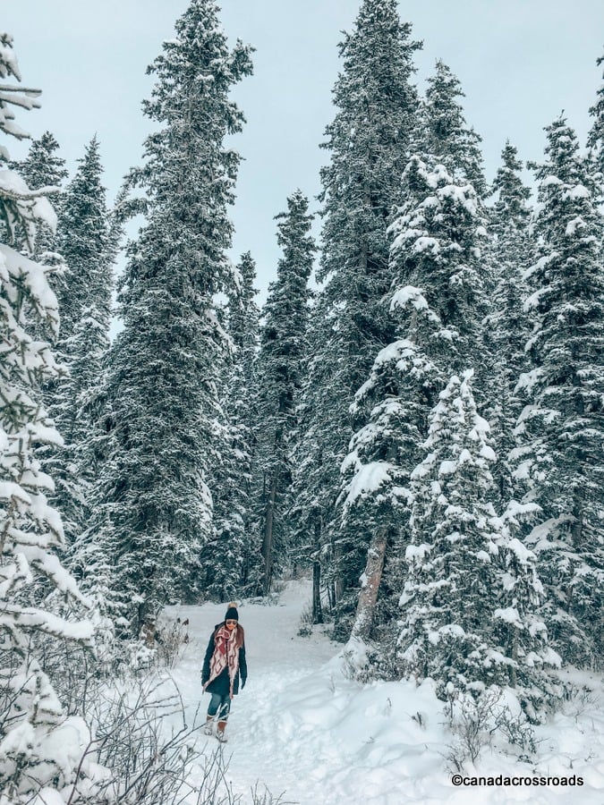 Snowshoeing in Banff Banff Christmas Getaway: 23 Ways to celebrate Christmas in Banff
