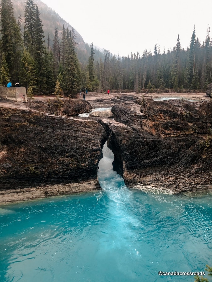 Natural Bridge in Yoho National Park