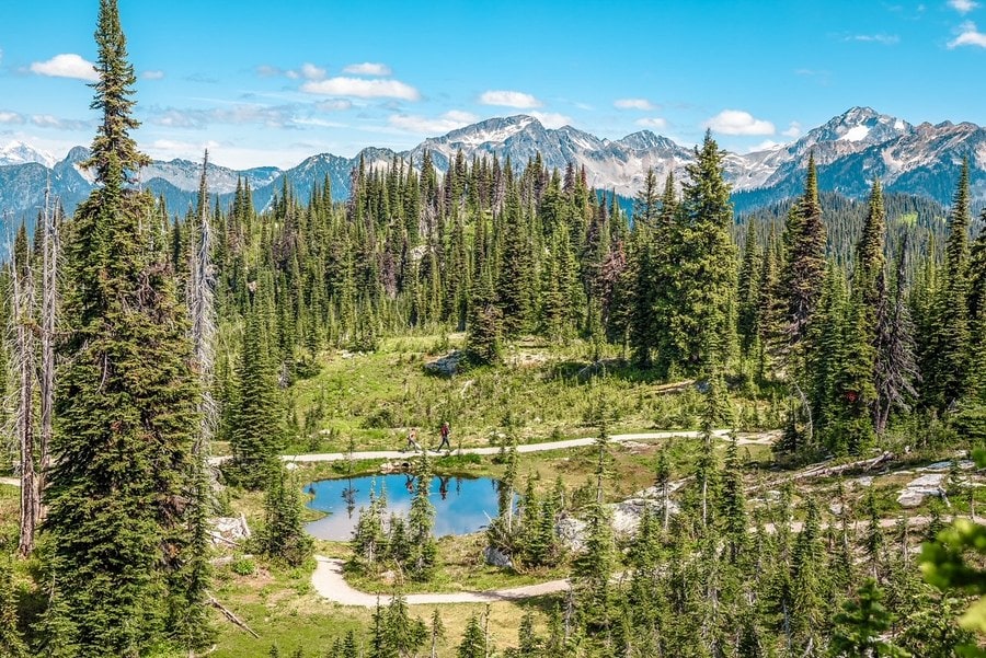 Revelstoke National Park 32 Best Things to Do in Golden BC (2026 Guide)