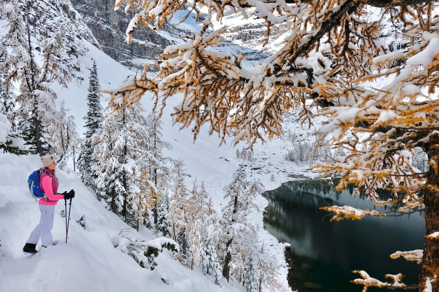Snowshoeing and winter hikes near Lake Louise