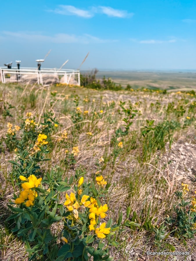 Viewing platform at the Head Smashed in Buffalo Jump