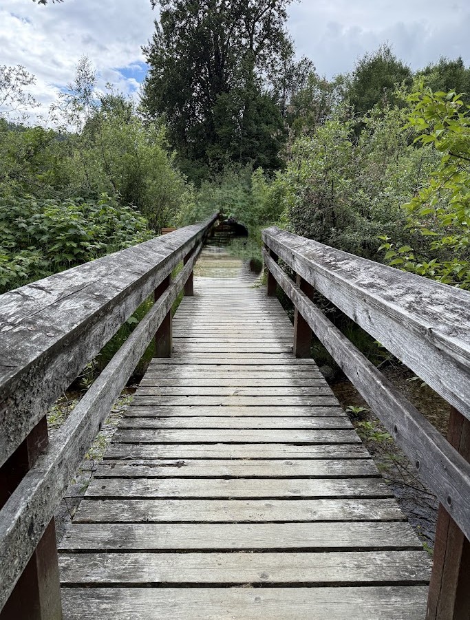 IMG 4016 3 Nelson, BC & Kokanee Creek Provincial Park: A 3-Night Camping Road Trip from Kelowna