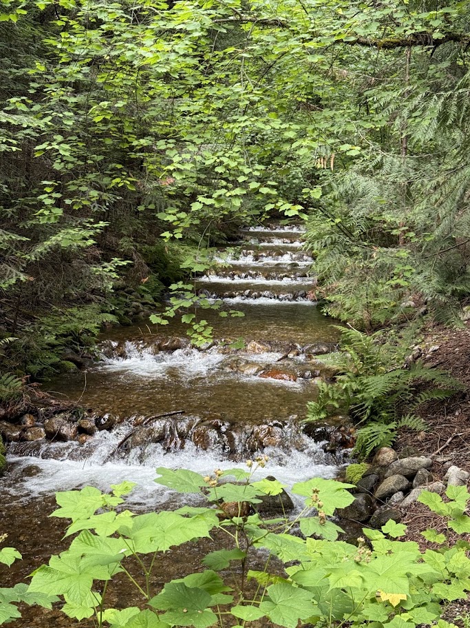 IMG 4045 Nelson, BC & Kokanee Creek Provincial Park: A 3-Night Camping Road Trip from Kelowna