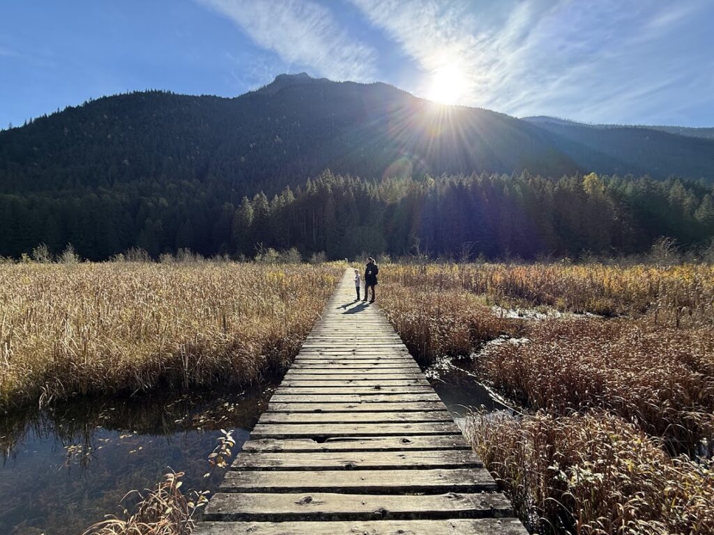 IMG 8686 Best Time to Visit the Canadian Rockies: A Month-by-Month Guide