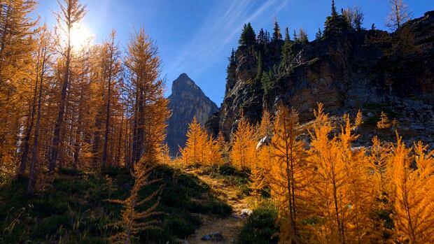 cbc Best Time to Visit the Canadian Rockies: A Month-by-Month Guide